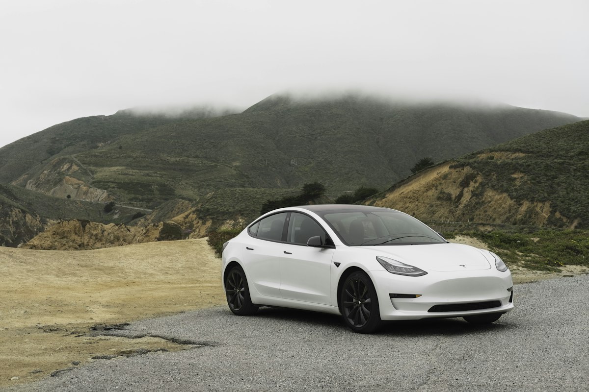 Electric vehicle (stock)